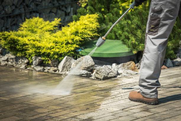 Best Pre-Holiday Cleaning  in North Springfield, VA