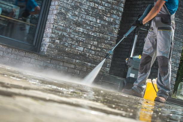Best Driveway Pressure Washing  in North Springfield, VA