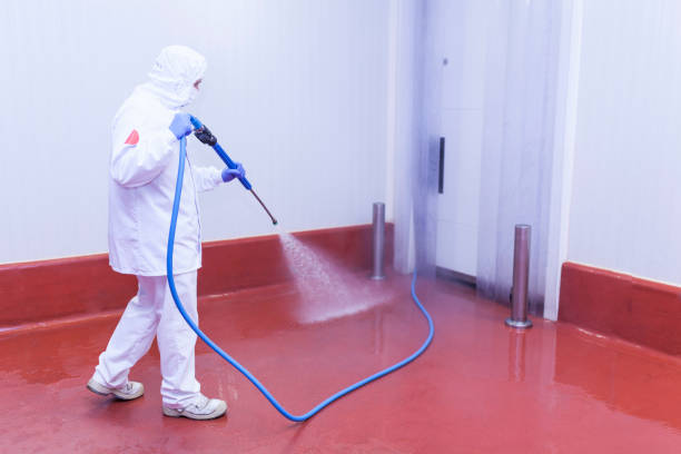 Best Boat and Dock Cleaning  in North Springfield, VA